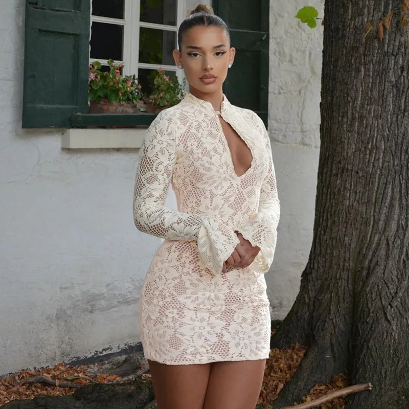 Lace Hollow Out Long Sleeve Mini Dress – Elegant Sheer Bodycon Clubwear