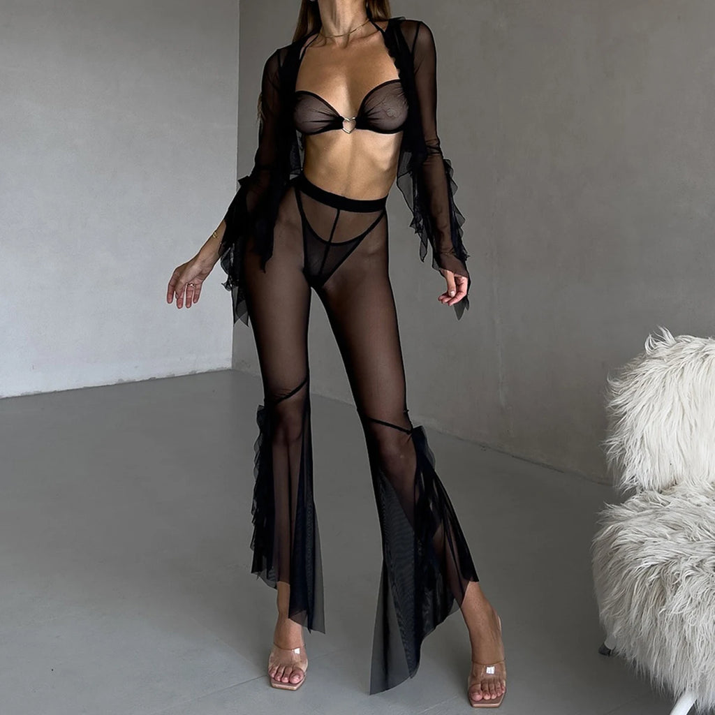 LINGERIE BRA PANTIES MESH BLOUSE and PANTIES 4 PIECE SET