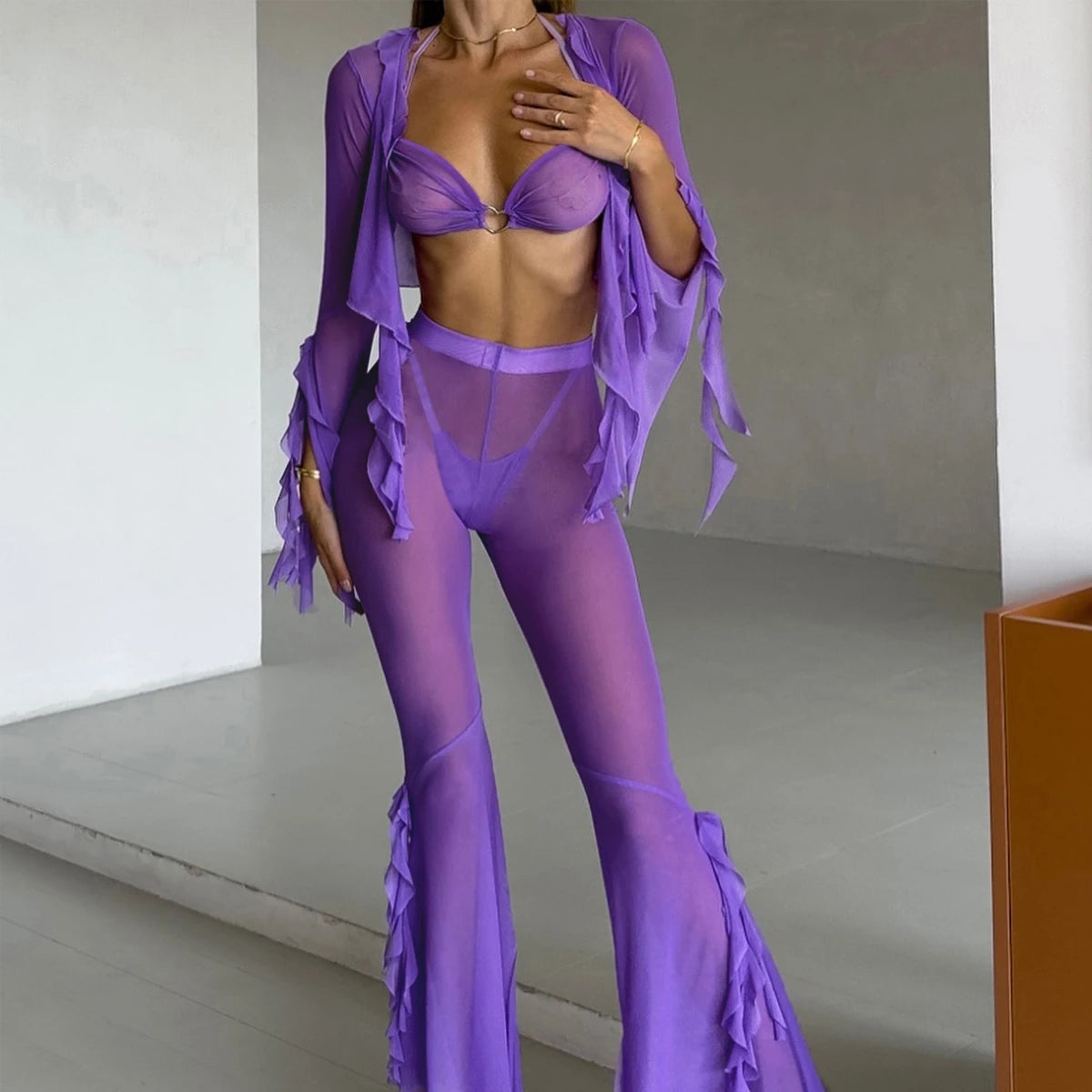 LINGERIE BRA PANTIES MESH BLOUSE and PANTIES 4 PIECE SET