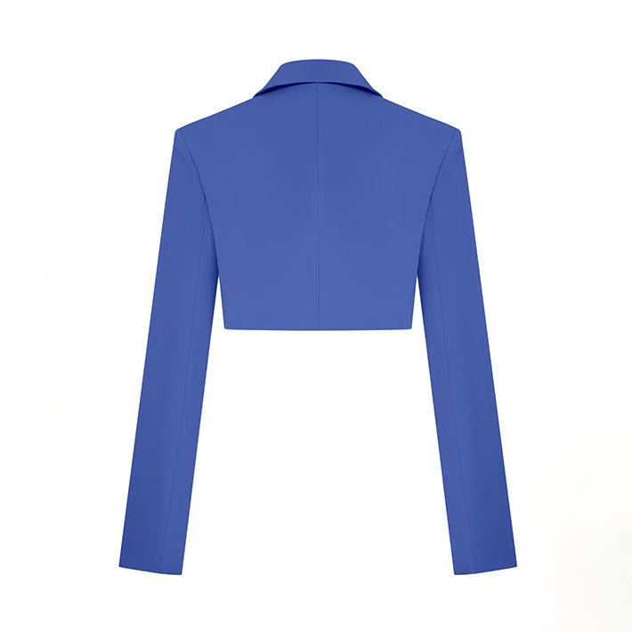 ALLIE PLEATED SKIRT and BLAZER SUIT