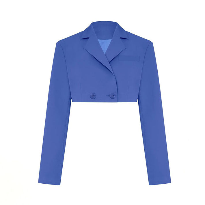ALLIE PLEATED SKIRT and BLAZER SUIT